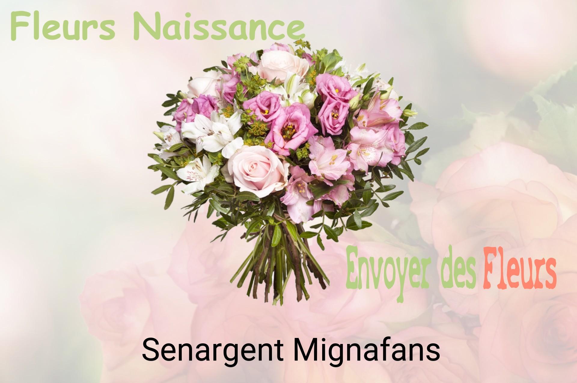 Bouquet de fleurs de naissance livré à Senargent-Mignafans